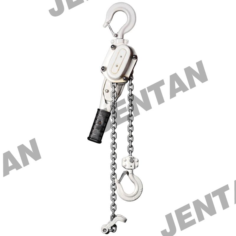 Stainless steel hoist body and chain for underwater use
