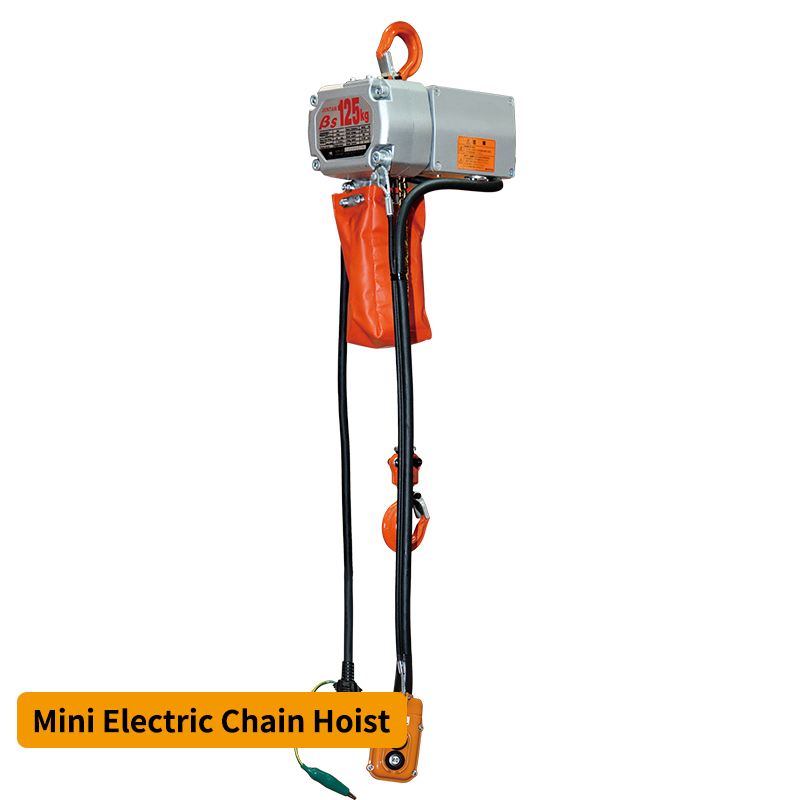  Chain Hoist