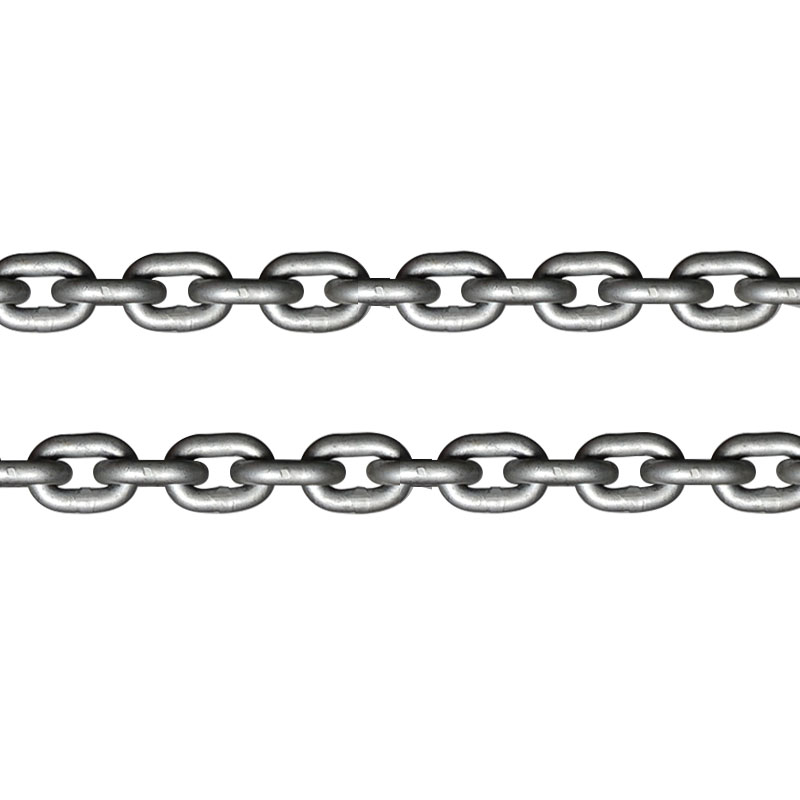  Top and Bottom Hooks with Secure Load Chain End – VG Load Monitoring Hoist